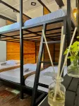 Yellow Umbrella Hostels Hotels in 