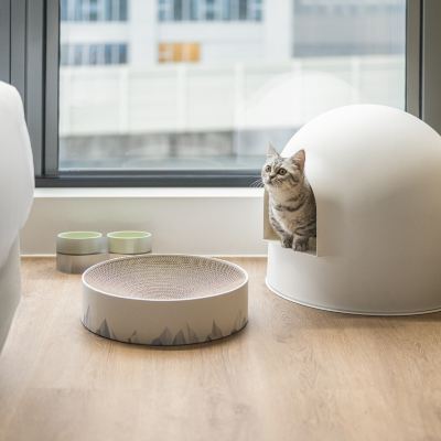 貓咪標準客房 新北新莊凱悅嘉軒飯店優惠