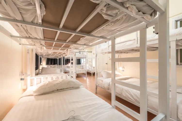 Mixed Dormitory Room (share Bathroom)