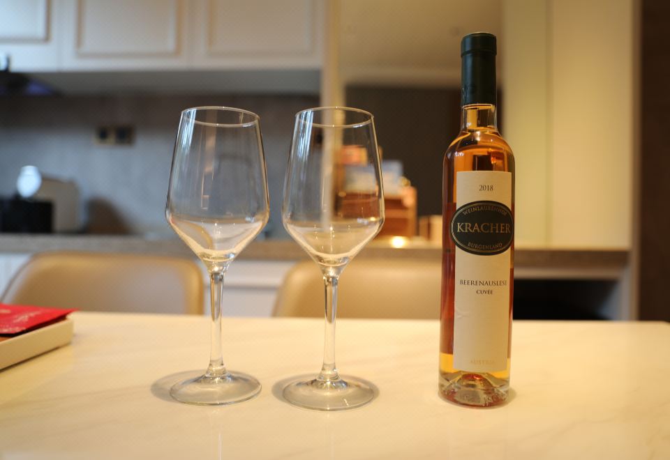 環游·奧地利黑膠醉響庭院私湯大床別墅