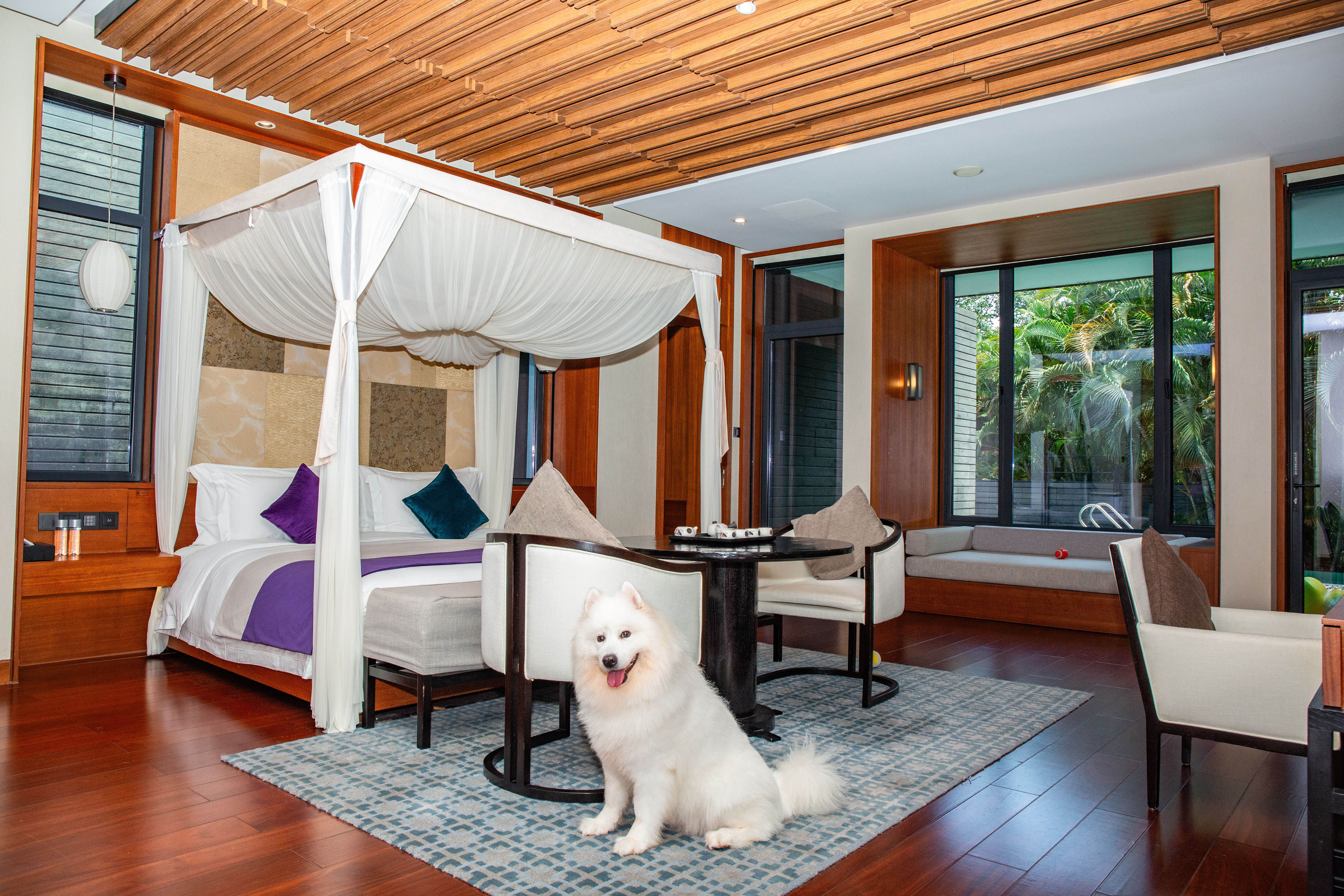 Bay Breeze Resort Shenzhen豪华宠物别墅套房