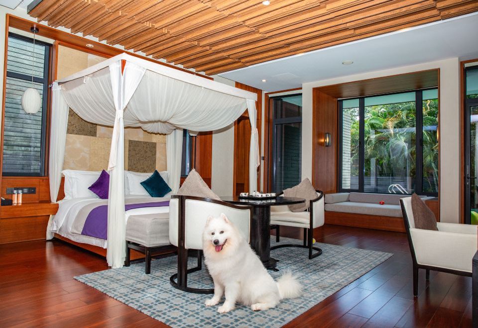 豪華寵物別墅套房