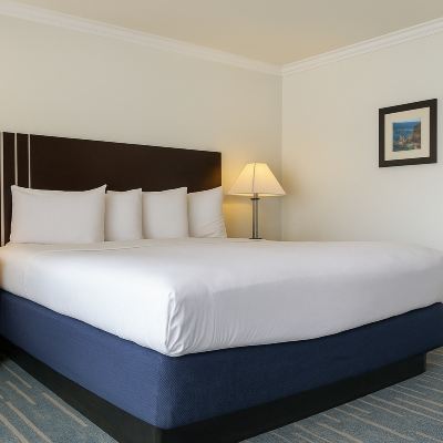 Standard King-Accessible Fireside Inn Promo Code