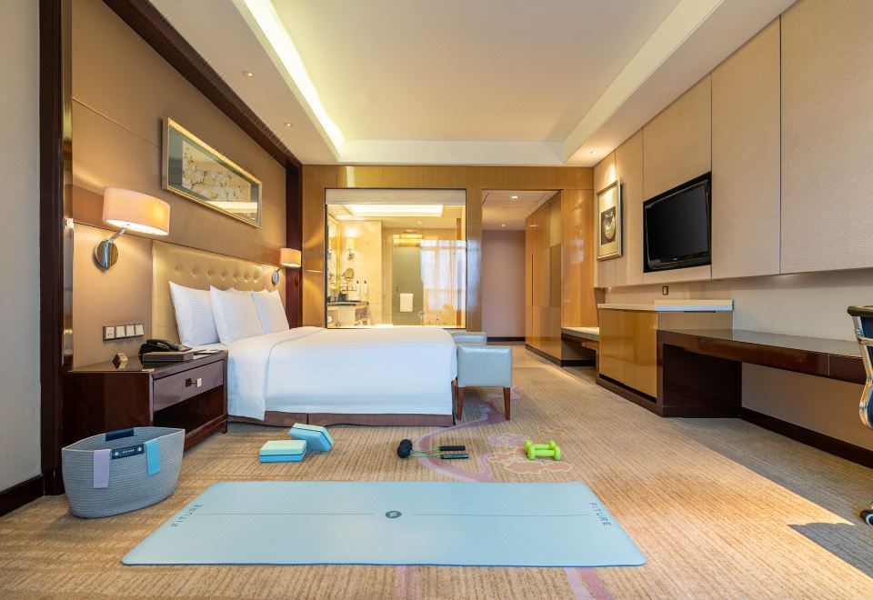 魔鏡運動大床房（魔鏡VR體感+運動器材+杜拉維特衞浴）