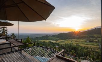 Alamanda Lovina Resort - Housity