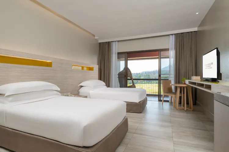 แกรนด์ ดีลักซ์ วิวภูเขา - เตียงแฝด