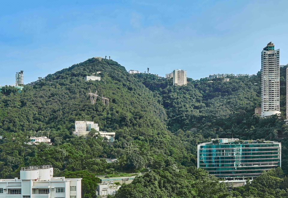 行政城市景观特大床客房