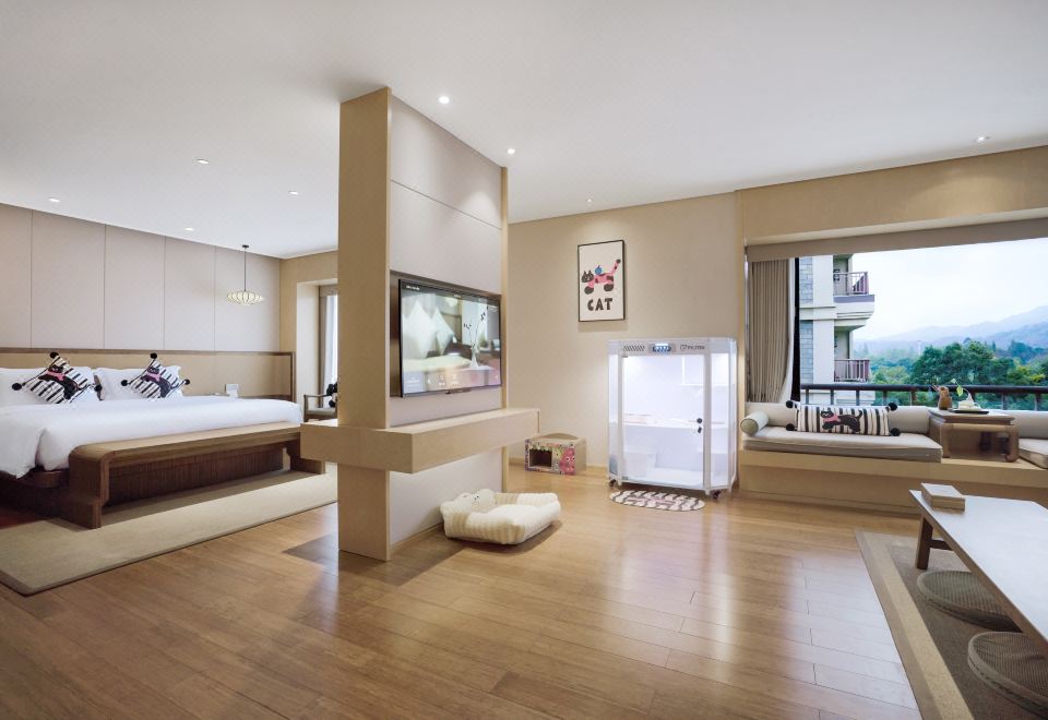 萌宠套房A-猫猫专属