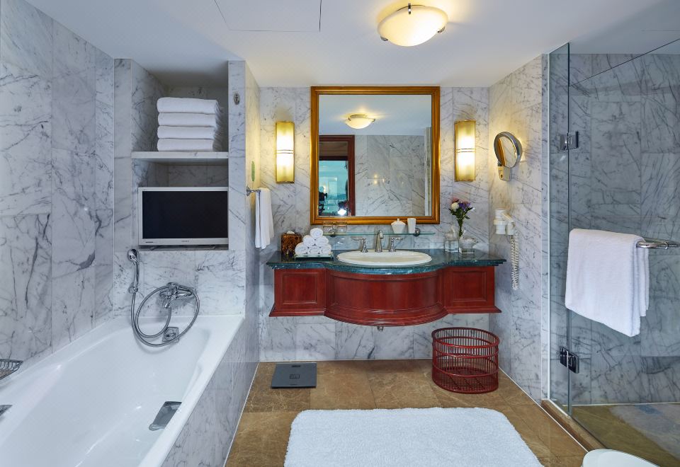 玄武湖湖景行政大床房