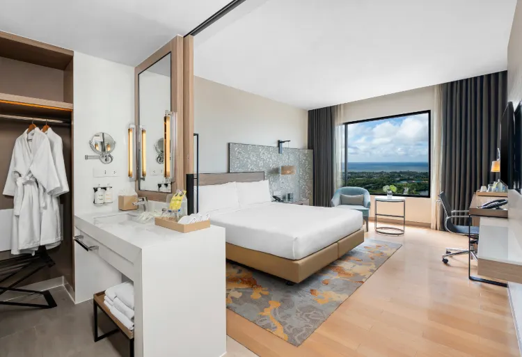 1 King Bed Standard Accessible sea view