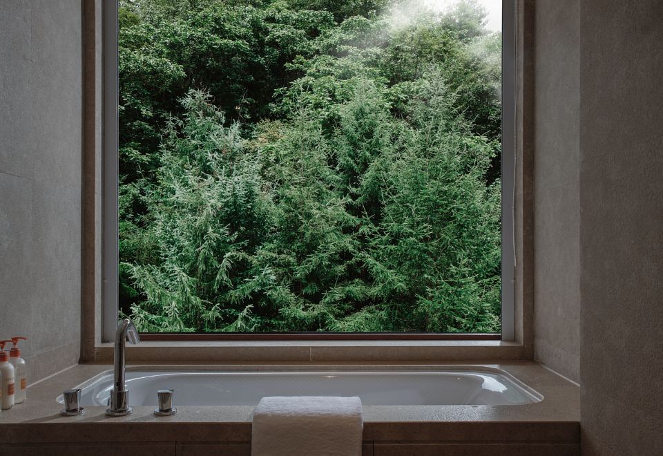 CROWNE PLAZA SHENNONGJIASuperior 2-bed Room