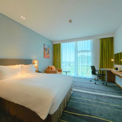 靜享大床房【中央空調供暖+羽絨枕被+康乃馨床品】 邯鄲東區智選假日飯店優惠