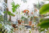 Xi’an Jasmine Boutique Inn 시안 건축과학대학-남원 주변 호텔