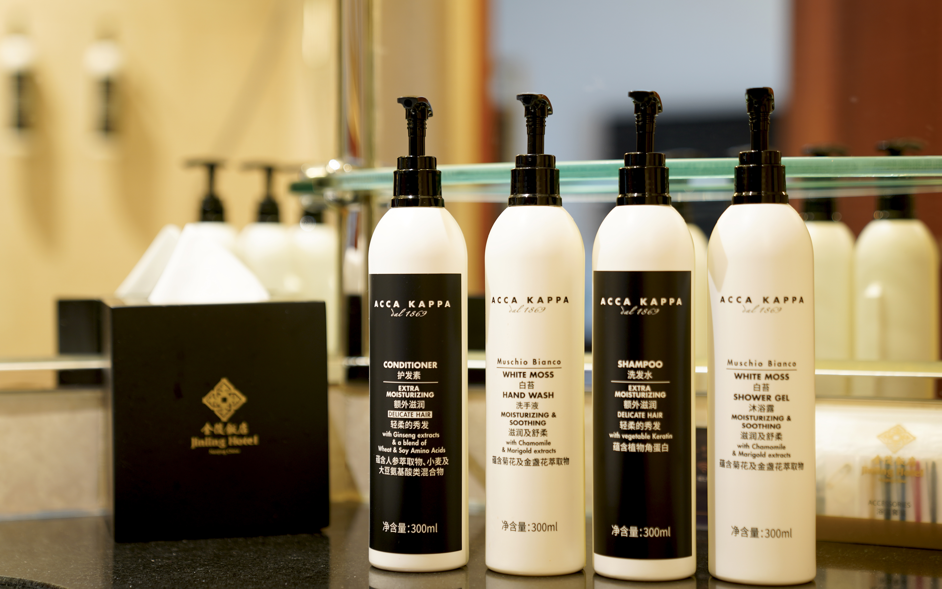 Jinling Hotel Nanjing金陵楼高级房