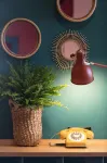 Paul & Pia by Stay Collection - Welcome Home Hotel