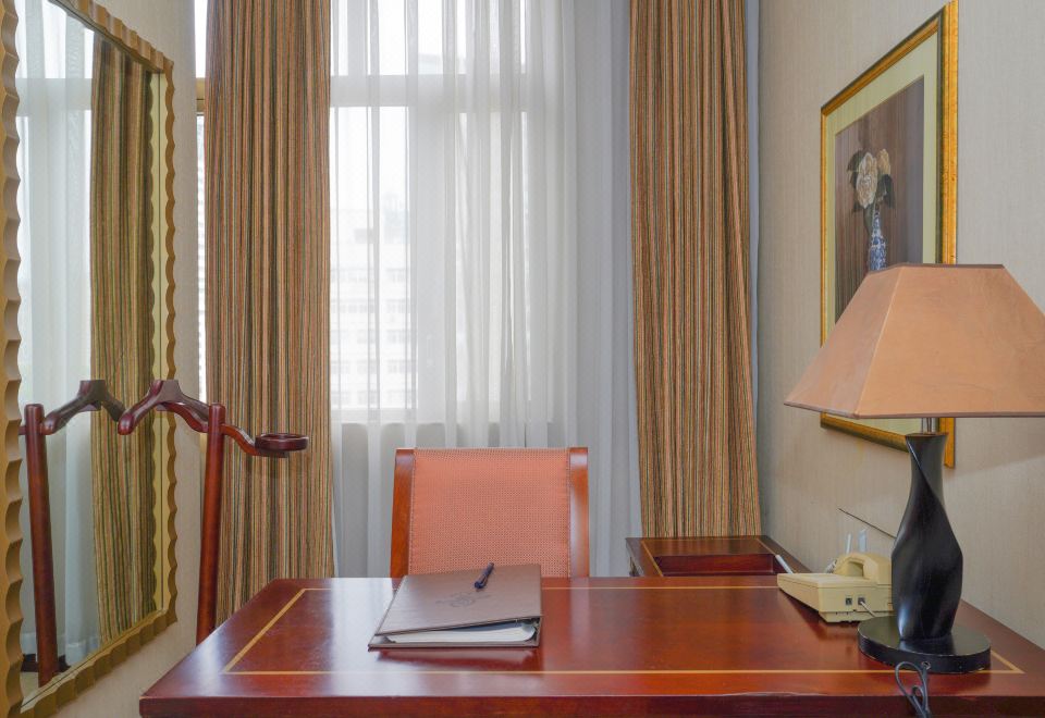 典雅城景大床房