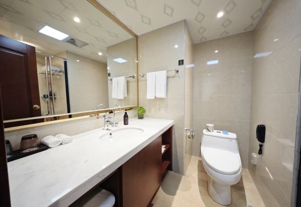 高级城景大床房『高层俯瞰城景?静谧休闲办公』