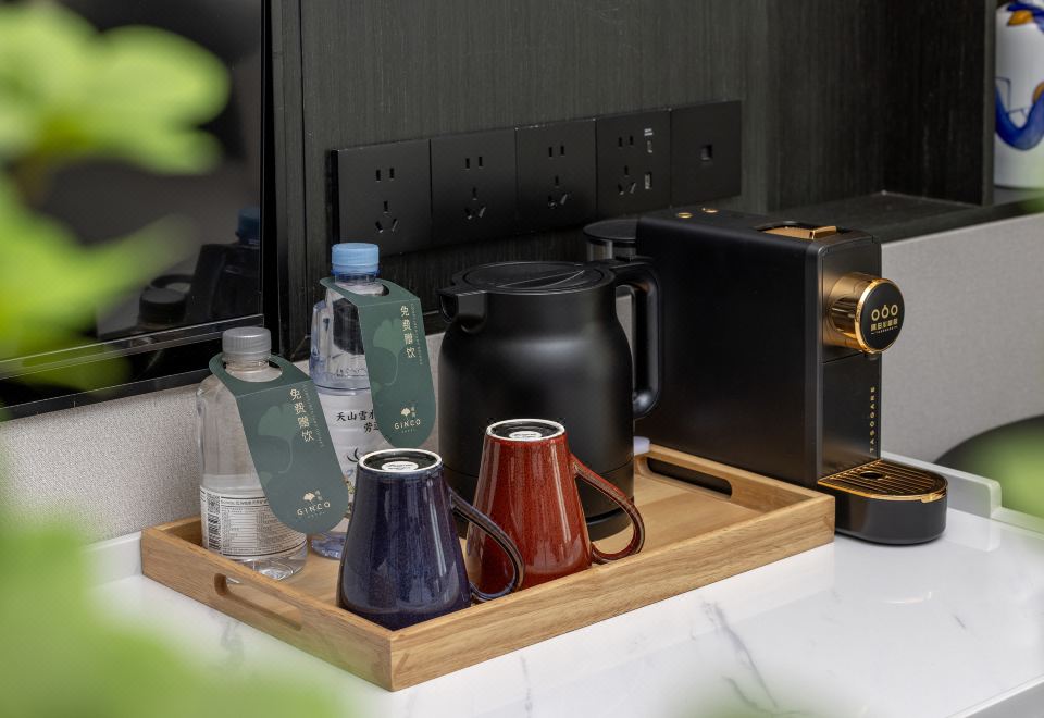 Ginco Hotel UrumqiQueen Size Room