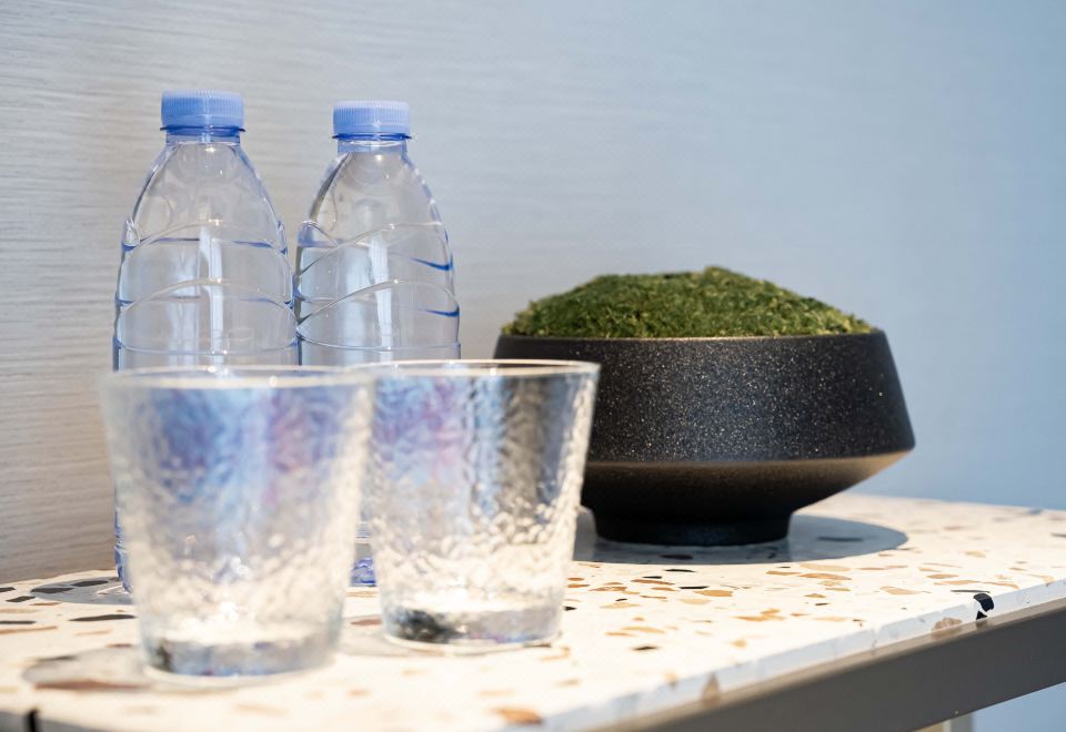 商务大床房（席梦思床垫+亲肤床品）