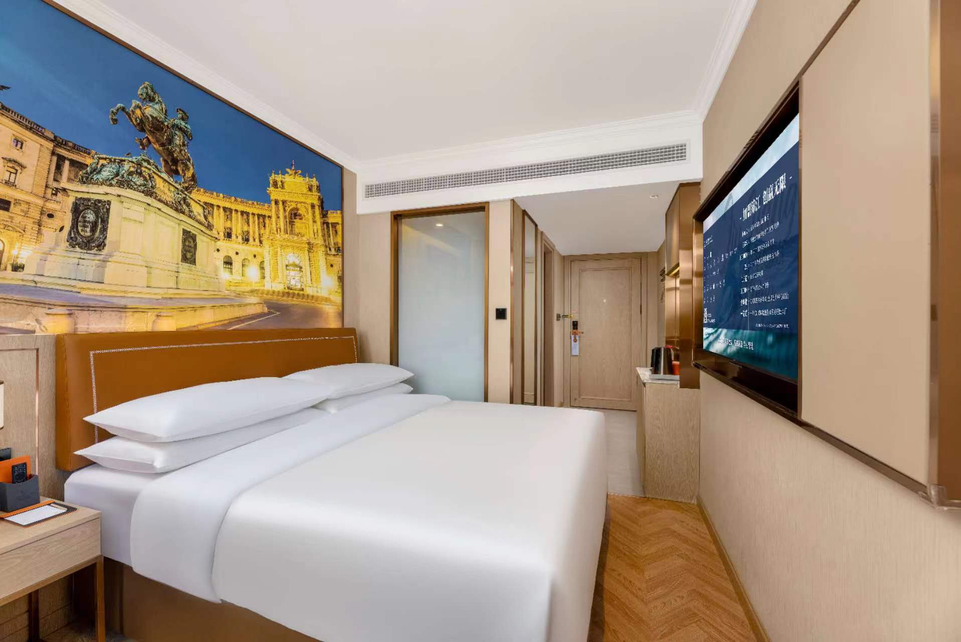 高级大床房（智能客控）