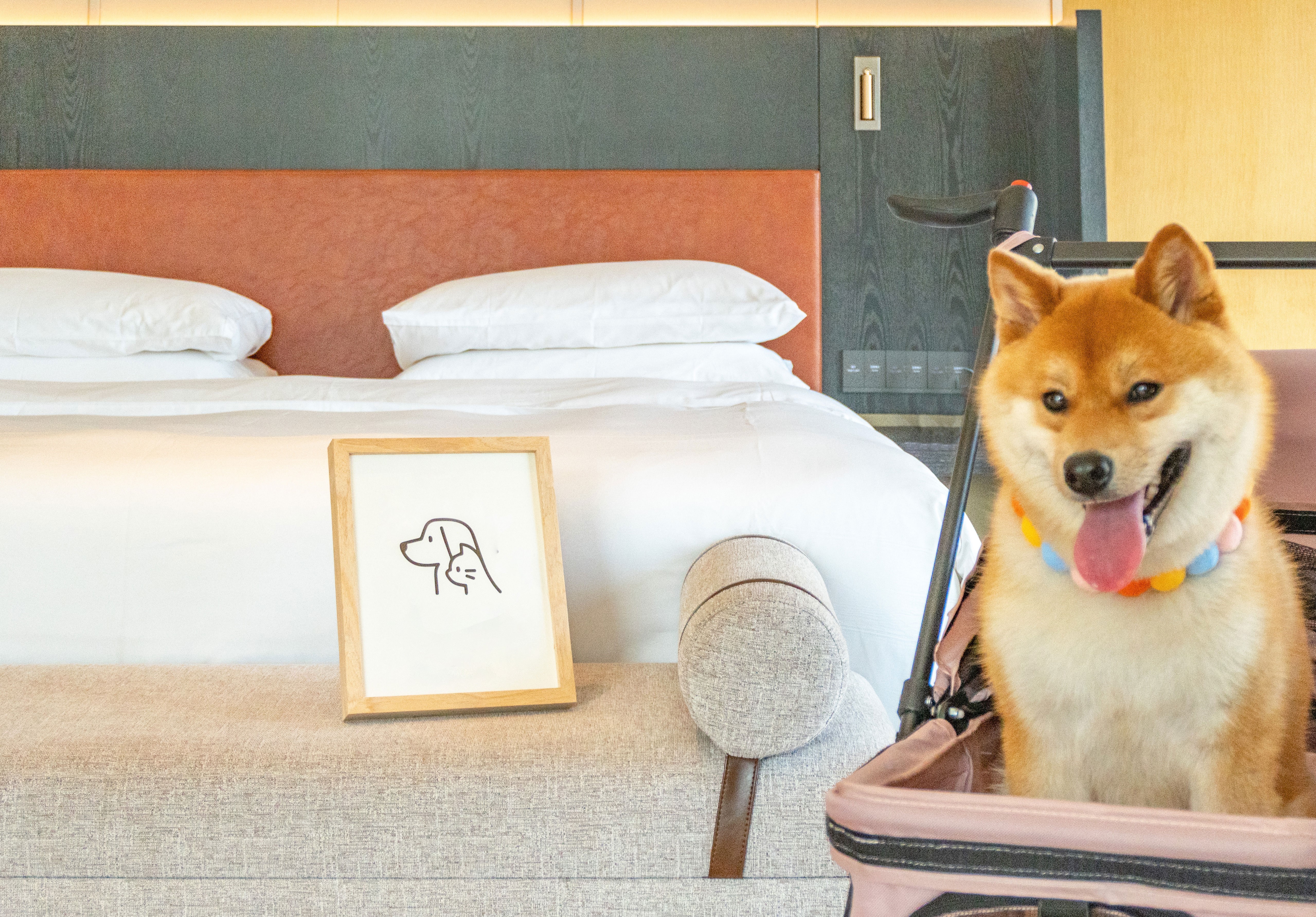 宠物阳台大床房