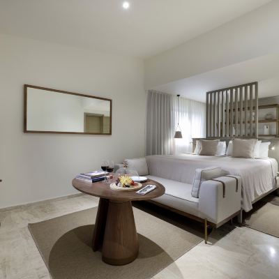 Deluxe Junior Suite Paradisus Palma Real Golf & Spa Resort Promo Code