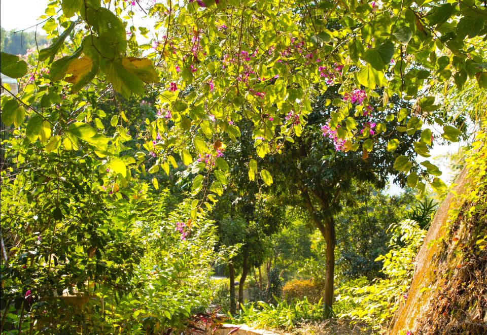 地派享泉居-三房两厅别墅-独立庭院-茶台-麻将桌
