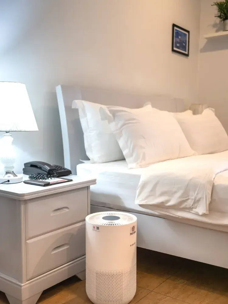 จูเนียร์สวีทพลัส