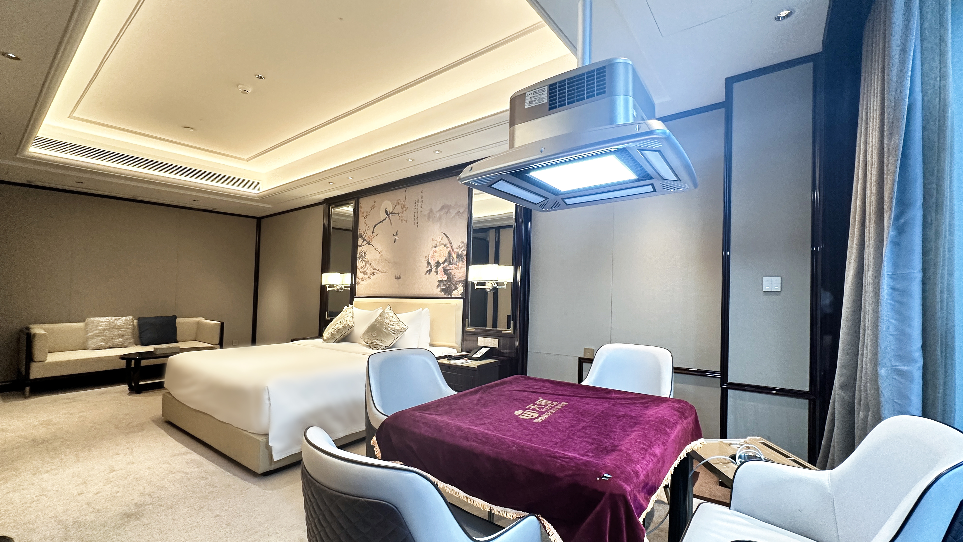 豪华娱乐大床房