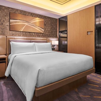 泳池景行政房 馬尼拉希爾頓酒店（多用途酒店）優惠