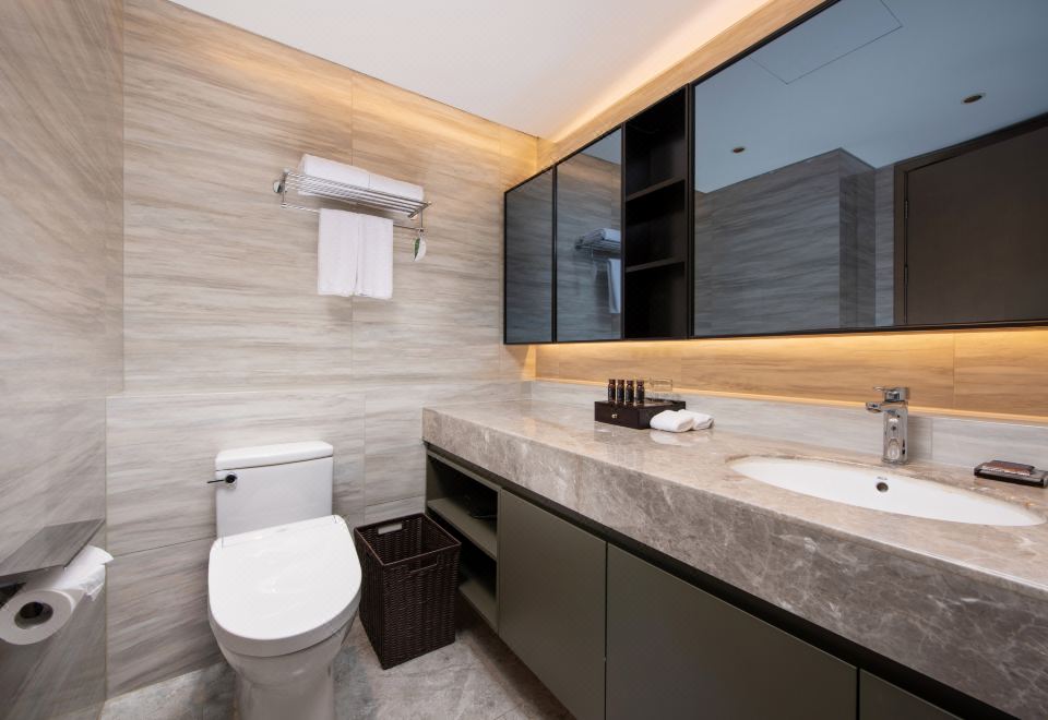 一房豪华行政套房