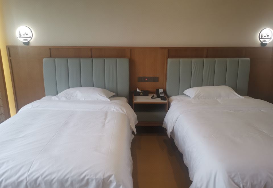 Family Friendly Room (2 Beds)