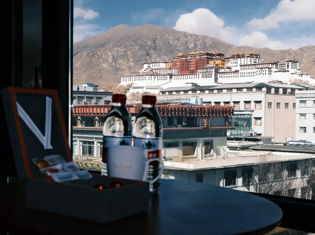 Lhasa Potala Palace Yishan Hotel - Lhasa