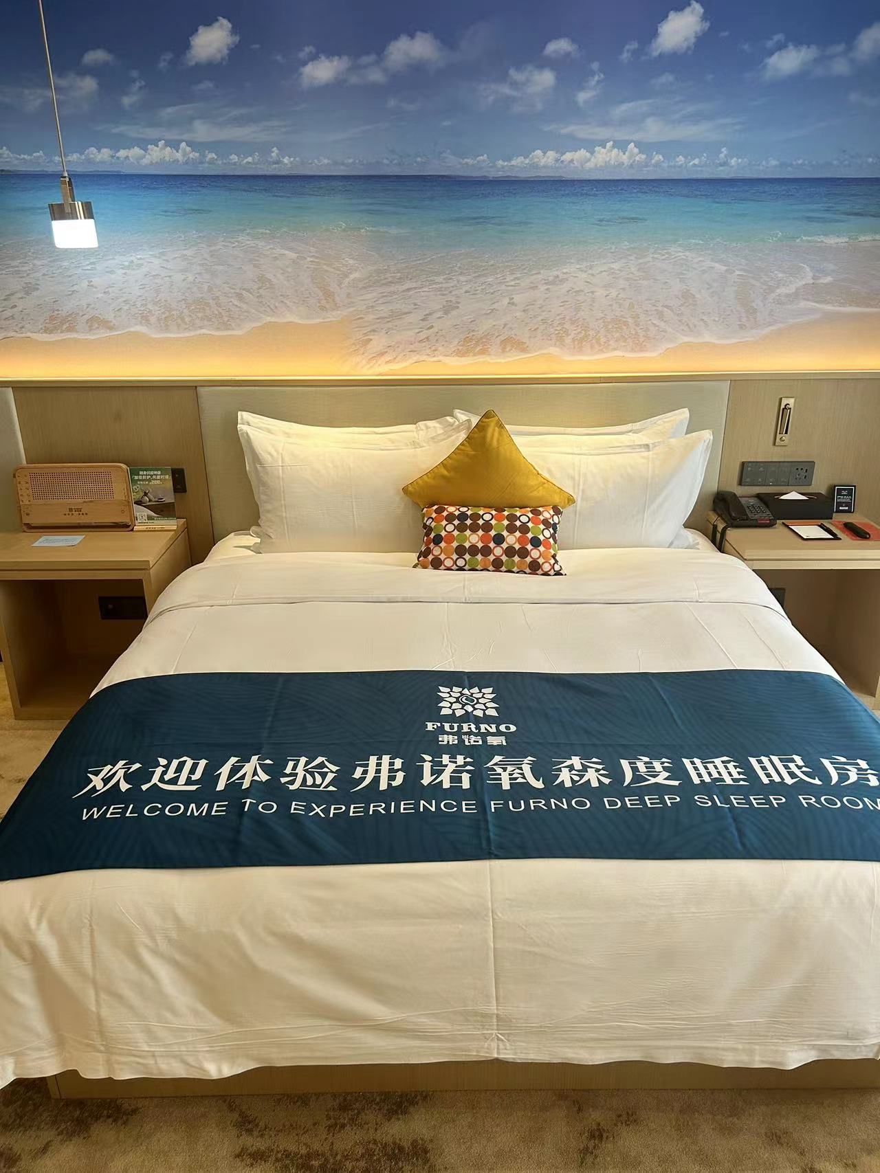 弗诺氧深睡大床房