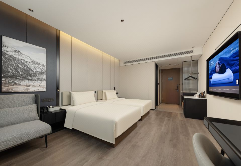 高级双床房（智能客控+电视投屏+深睡PRO枕）