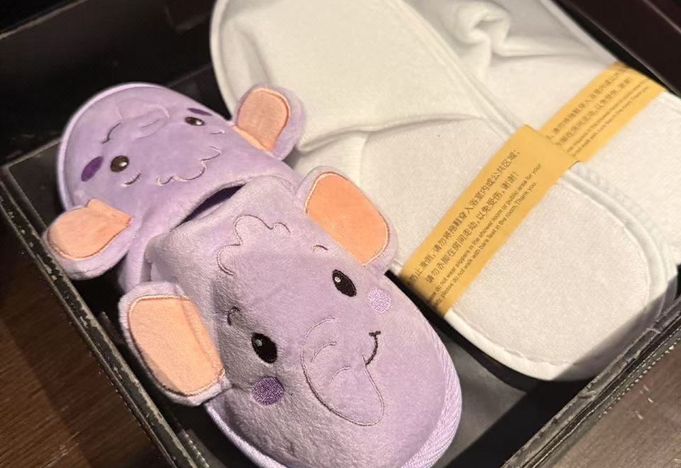 諾亞的叢林探險親子雙床房