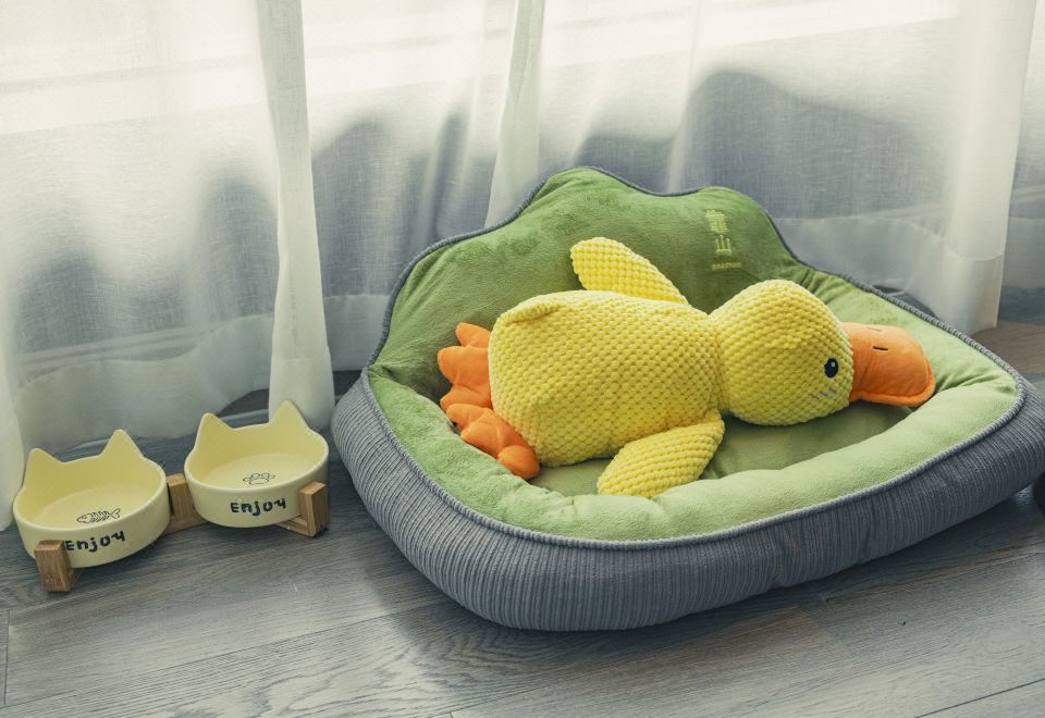 寵物主題悅居全景套房