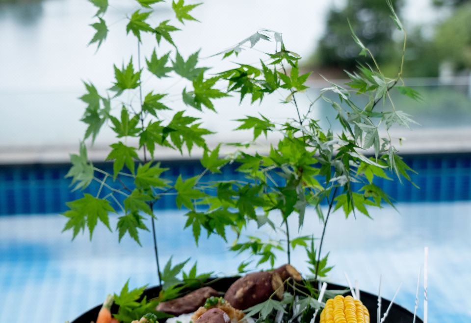 安嵐閣湖景復式雙臥泳池院墅