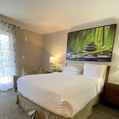 Deluxe King Room-Accessible The Creekside Inn Promo Code
