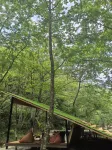Sansi · Linxi Aesthetic Resort Space