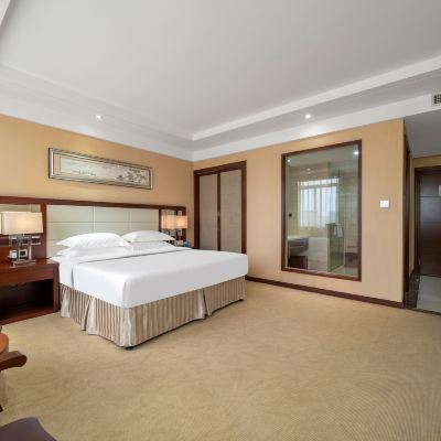 商務大床房 龍凈廈門飯店（高崎國際機場店）優惠