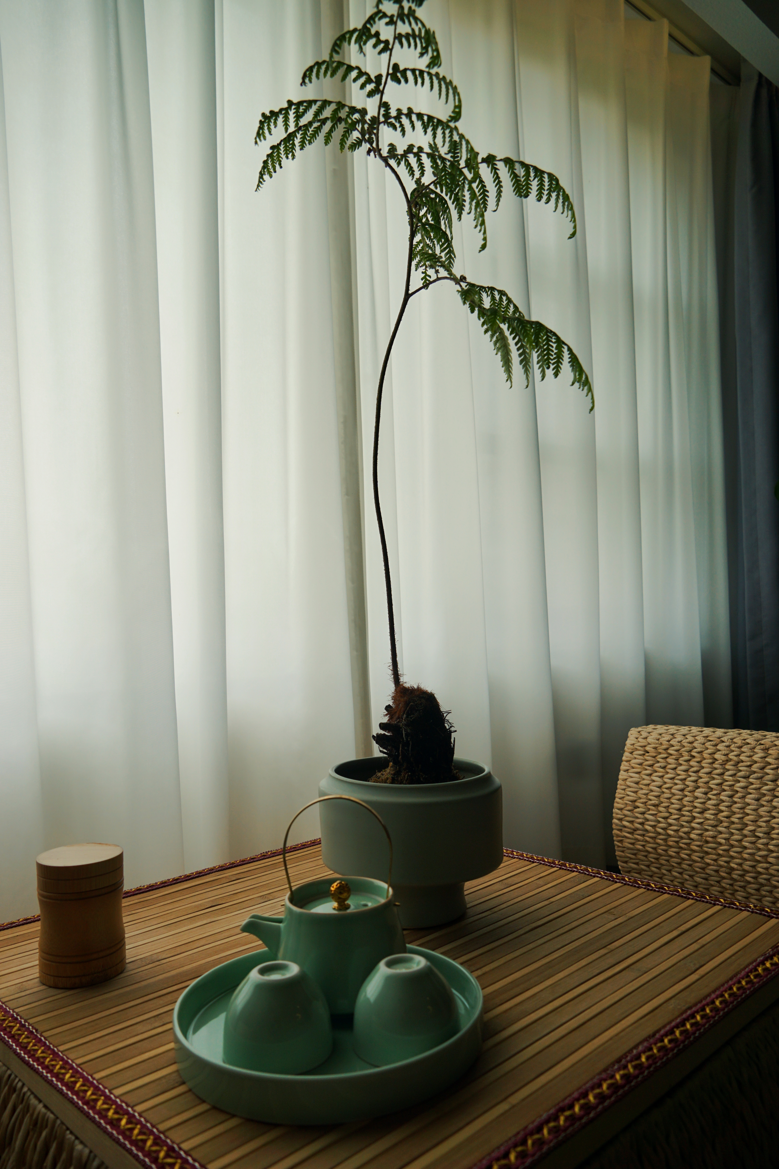 归藏-庭院景观大床房