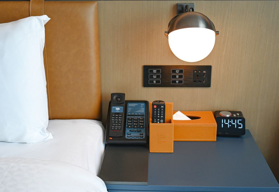 天山景觀大床房（180°遙望博格達峯的日照金山）