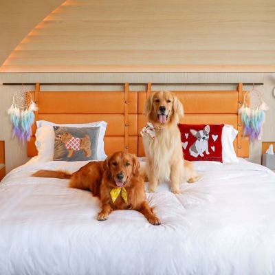 開放式套房 超大床 花園 狗狗友好 洲至奢選香港WM飯店優惠