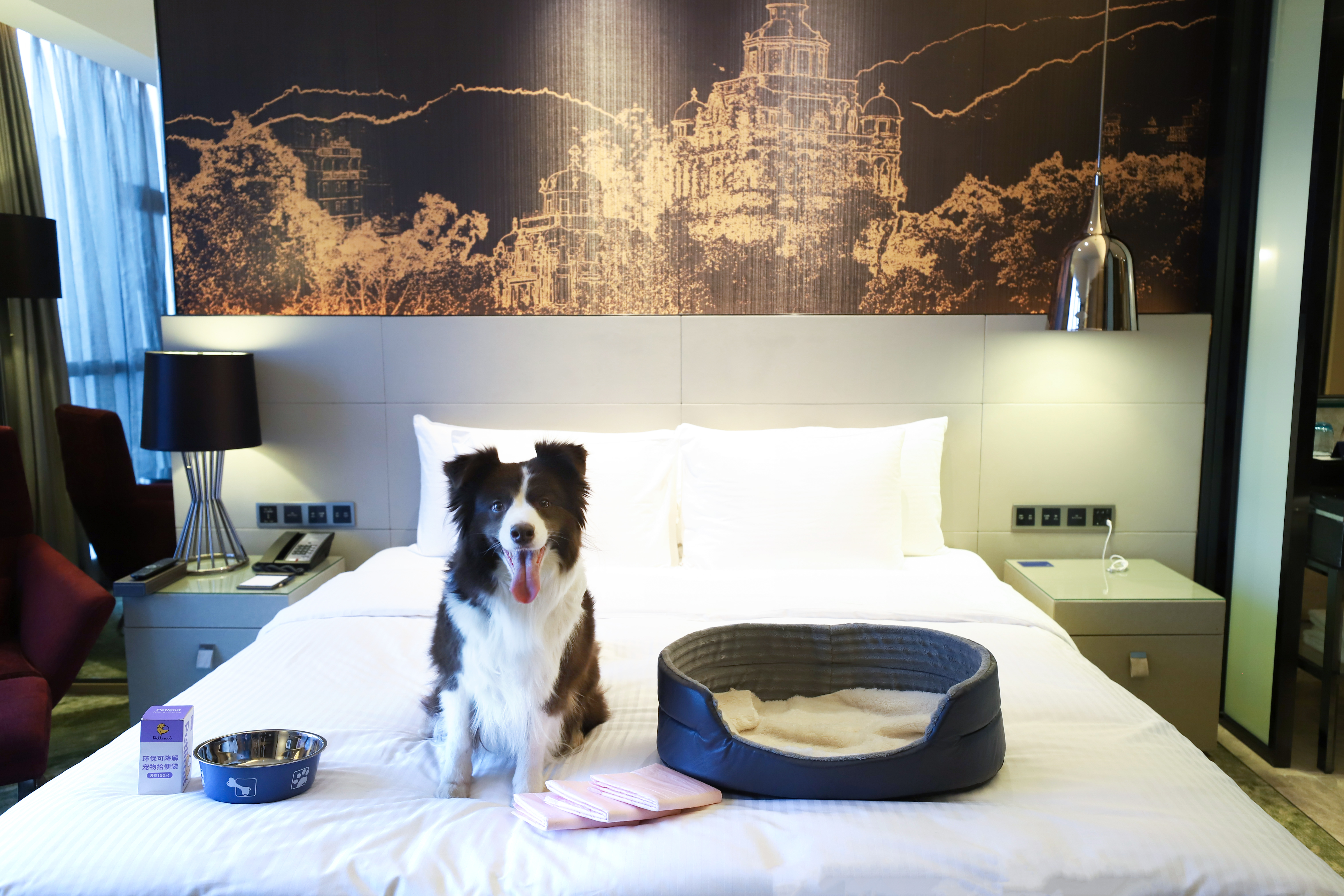 萌宠大床房（毛孩子睡窝+宠物用品）