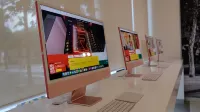 ريد بلانت ي جيسيذي فورت
