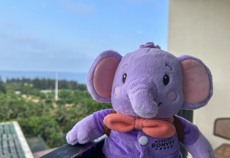 諾亞的叢林探險親子雙床房