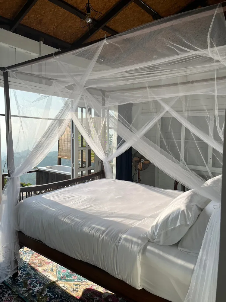 นอร์ทสตาร์