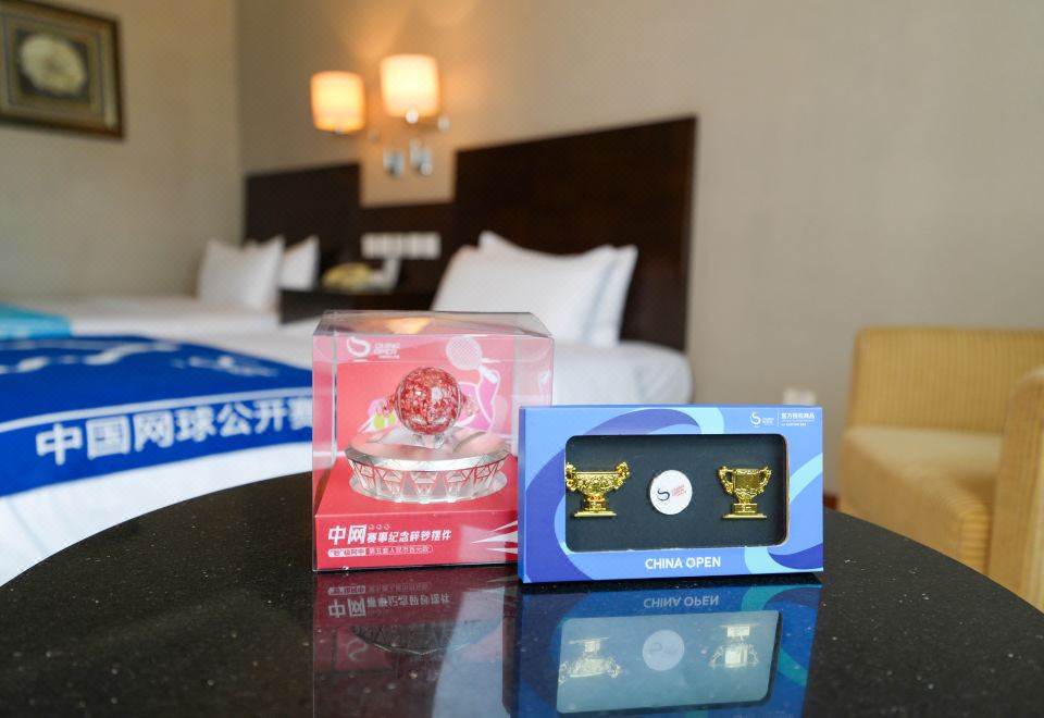 中网主题豪华双床房