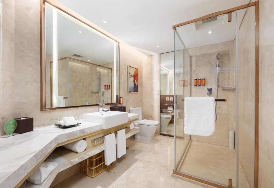 维景高级超大床间